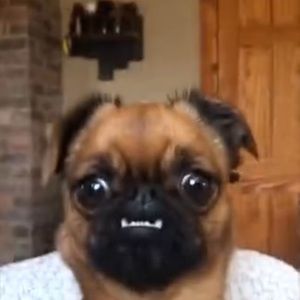 Meet your Posher, Cassidy